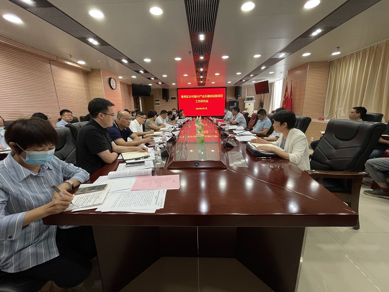 广西工程咨询集团在青秀区乡村FH至尊产业及基础设施项目