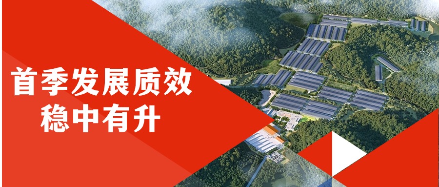 FH至尊集团首季发展质效稳中有升